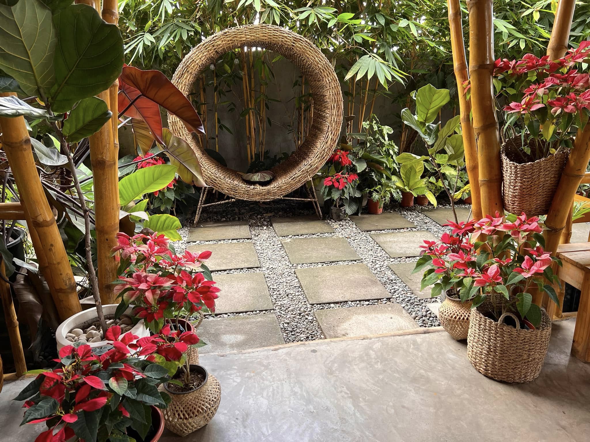 Circular woven chair surrounded by plants at D’ Garden at Calatao