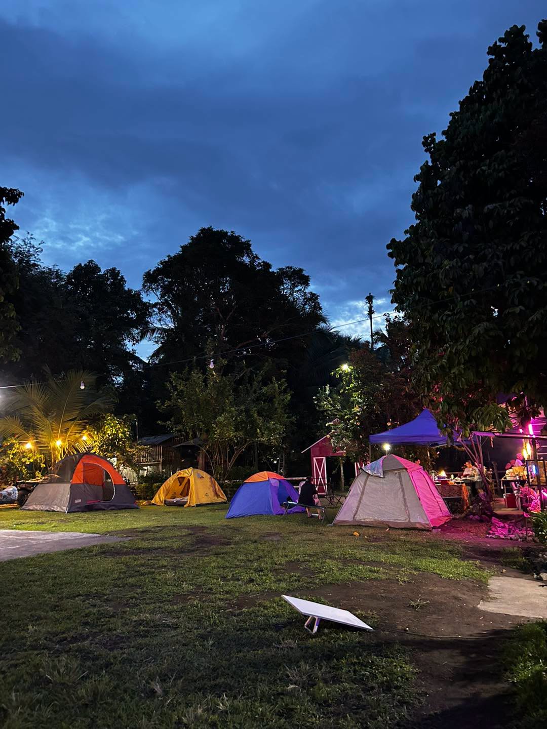 Tents pitched on the resort lawn at dusk
