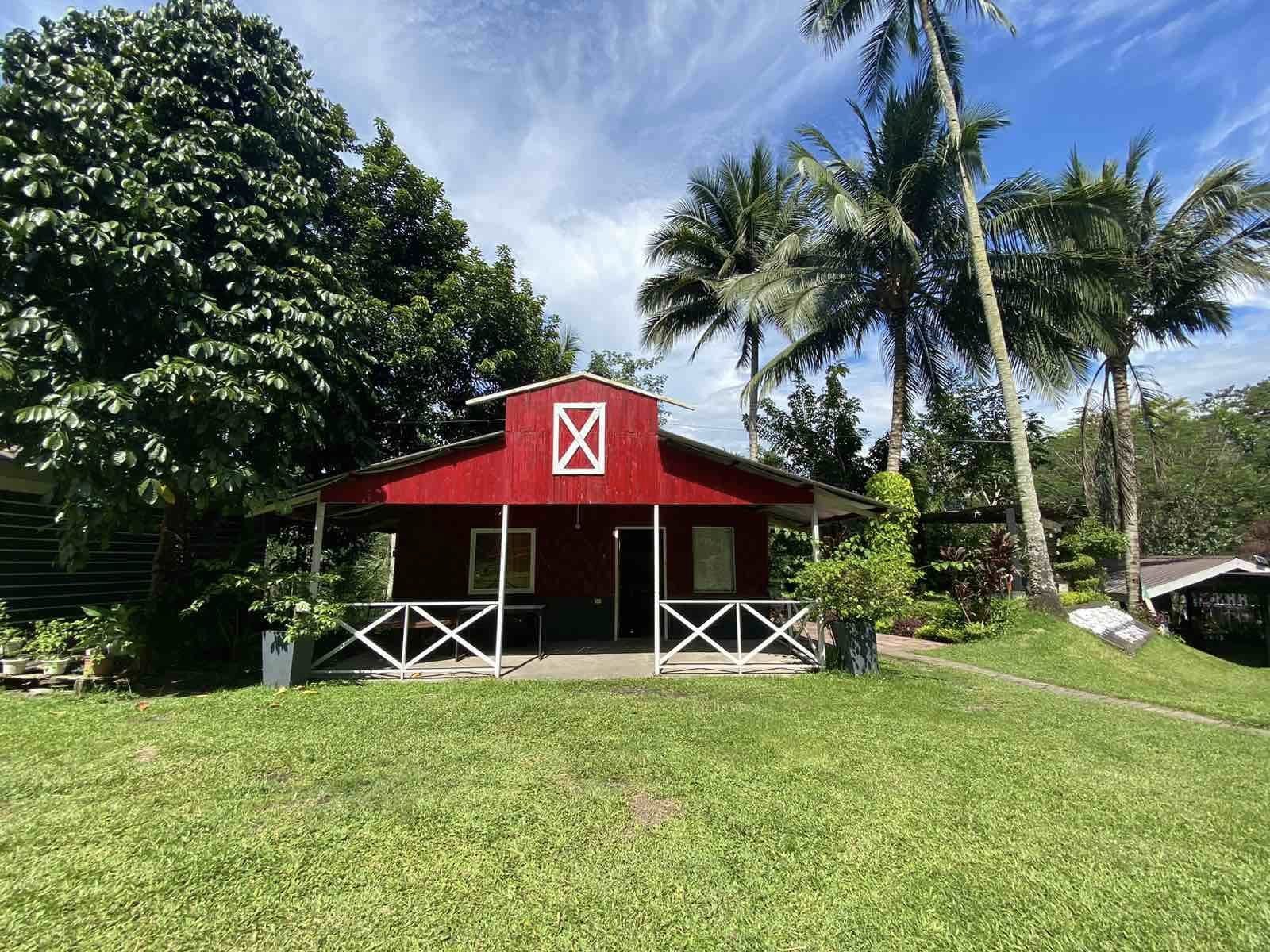 Red farmhouse with a white veranda beneath coconut palms